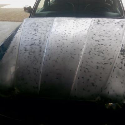 Img 20180427 150836 Custom