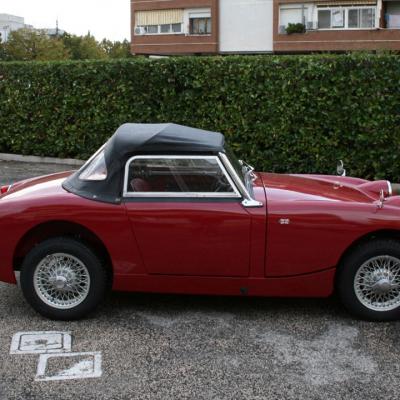 Austin Healey Sprite Carrozzeria Facchin 7